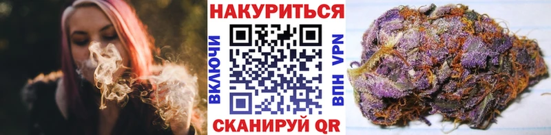 даркнет наркотические препараты  OMG онион  Нея  где купить наркотик  Бошки Шишки ГИДРОПОН 